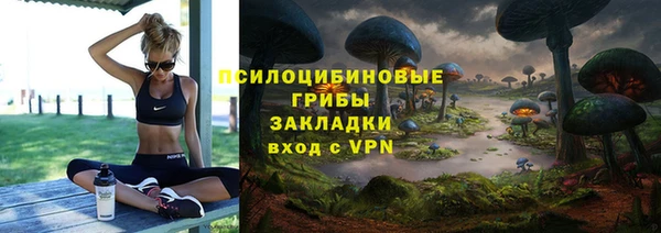 МДПВ Армянск