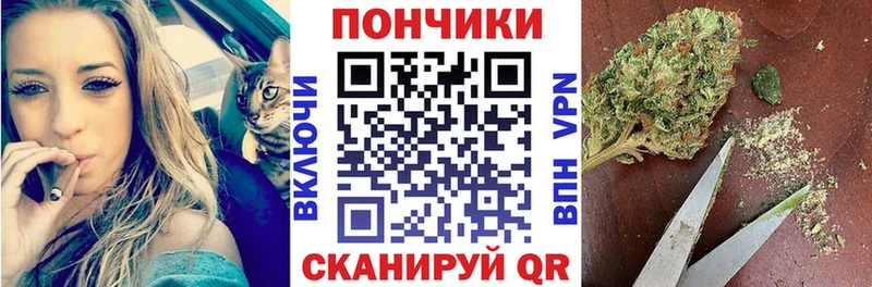 купить наркотики цена  Тавда  Шишки марихуана Amnesia 